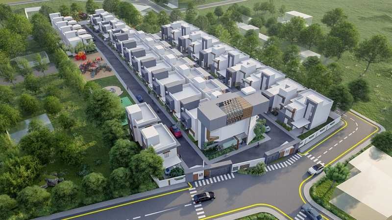 tannys velands Elevation