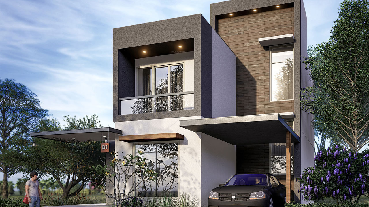 tannys velands Elevation