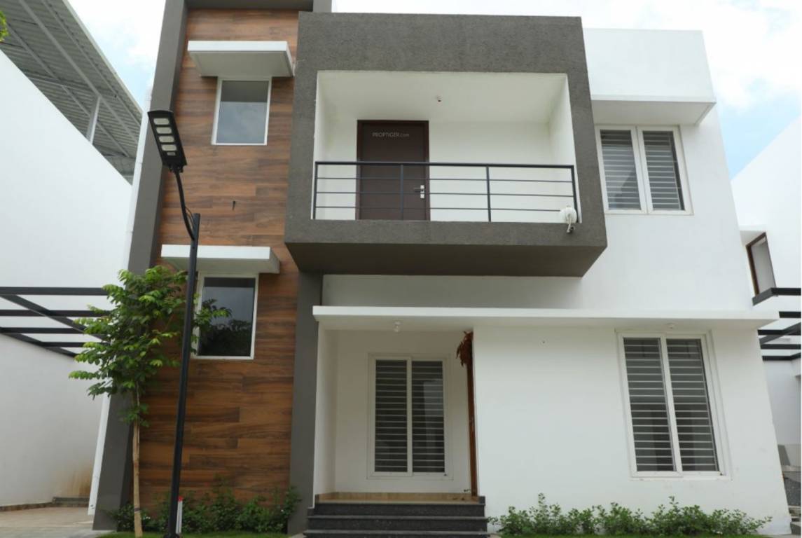 tannys velands Elevation