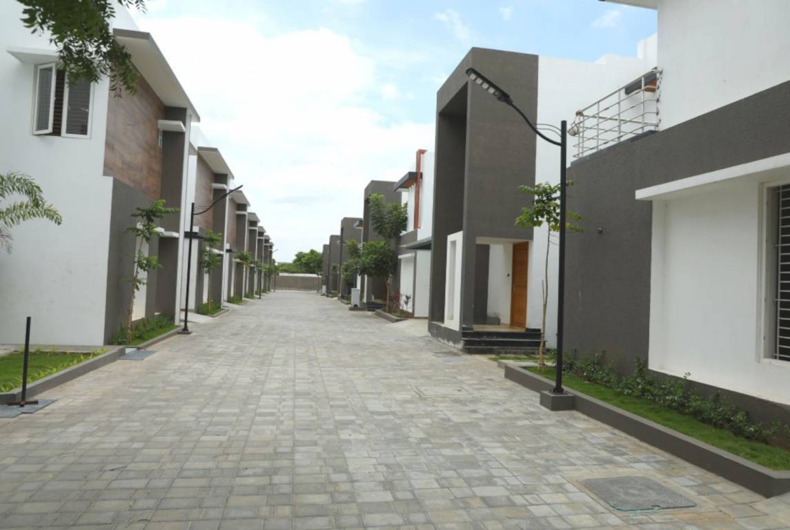 tannys velands Elevation