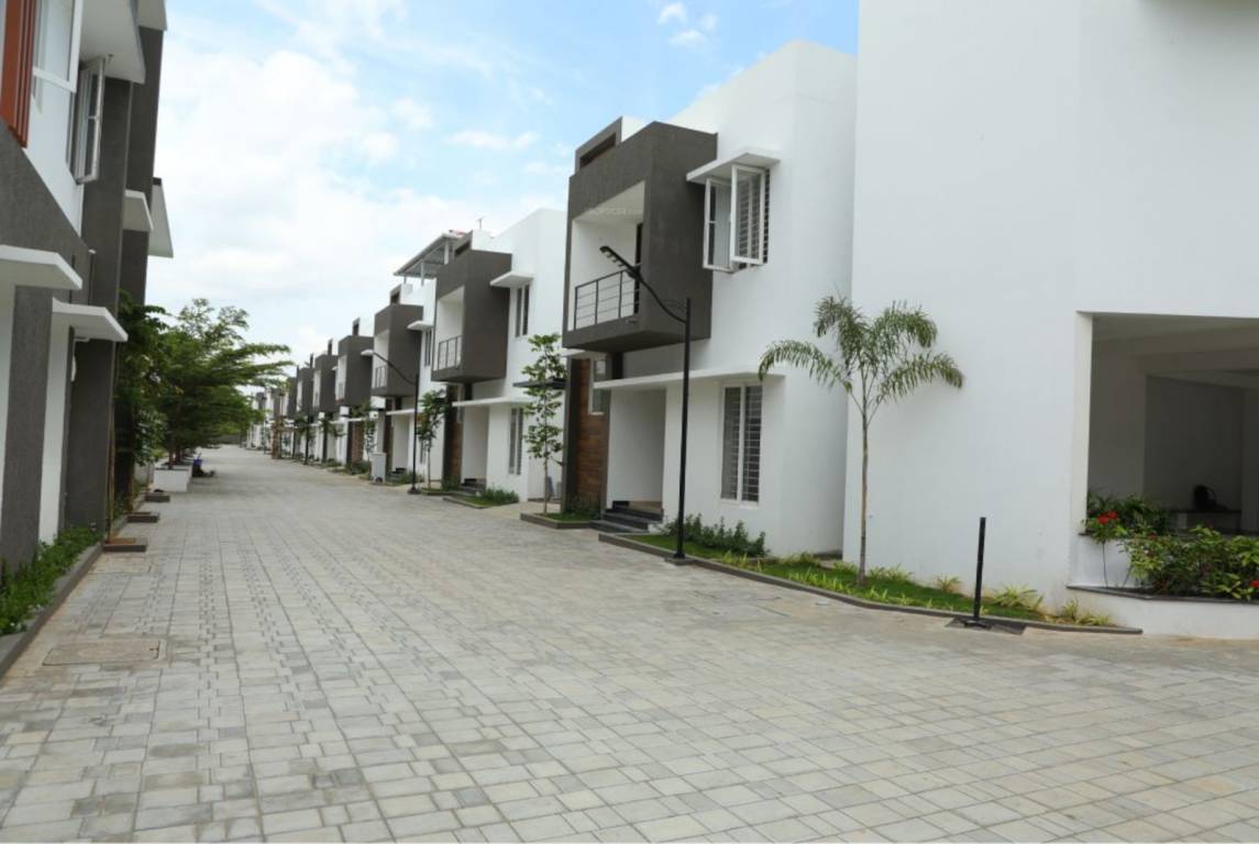 tannys velands Elevation