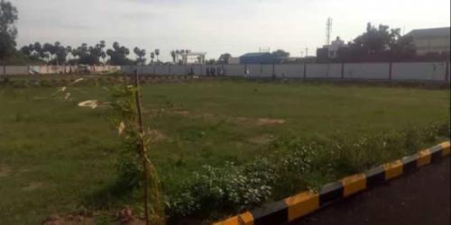  y-n-r-arcade Landscaping & Tree Planting