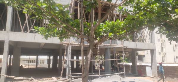  anees-enclave Construction Status March-21