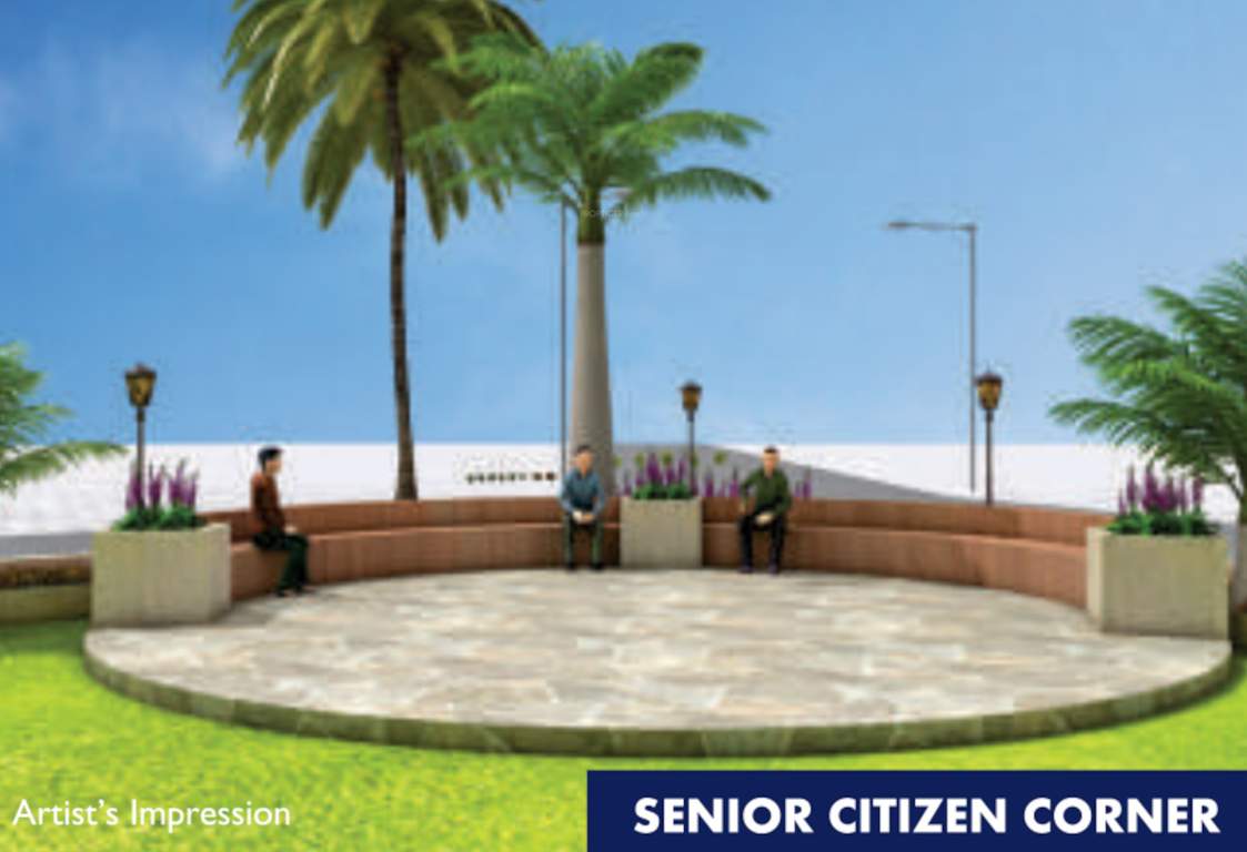  city phase ii Senior Citizen Siteout