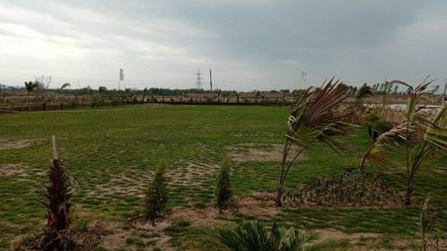  smart-city-banur Landscape Garden and Tree Planting