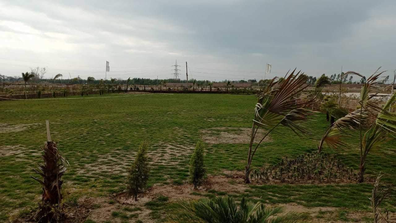  smart city banur Landscape Garden and Tree Planting