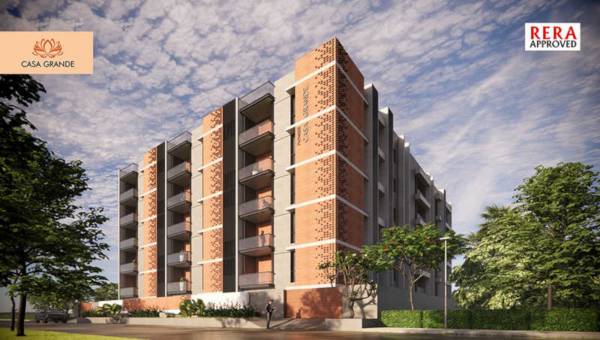 Elevation pioneer-casa-grande Elevation