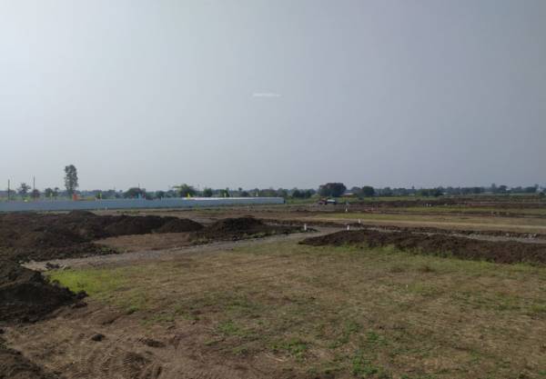  lemon-city Elevation