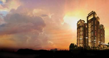 Elevation sports-home-phase-2 Elevation