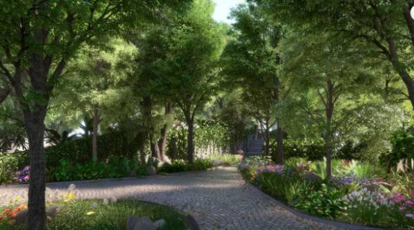 Others ascencio Others