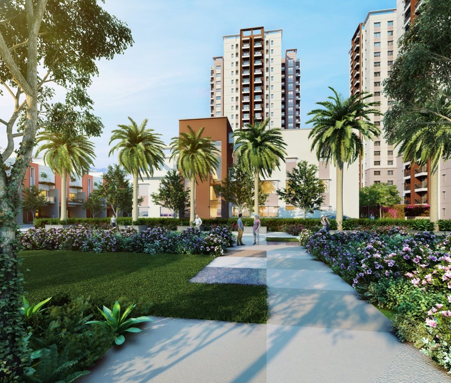  oriana Landscaping & Tree Planting