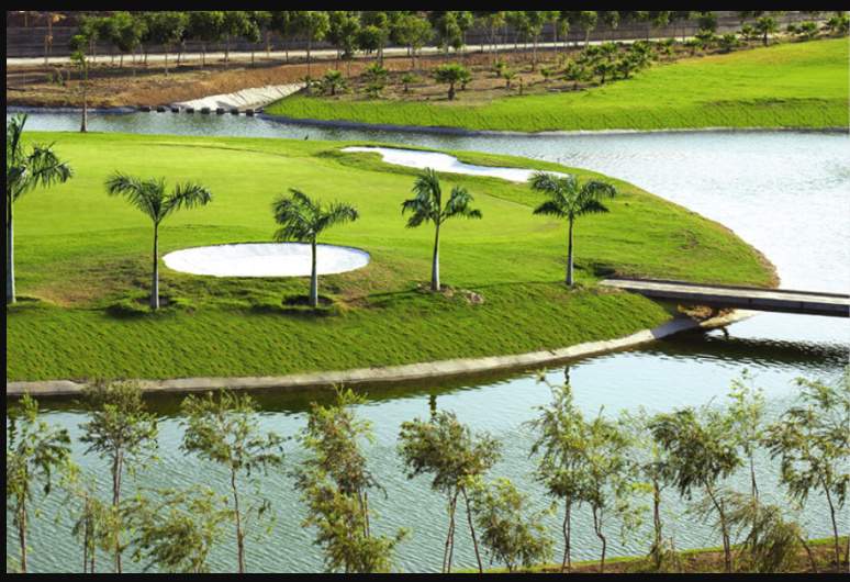 the storeys Landscape Garden and Tree Planting