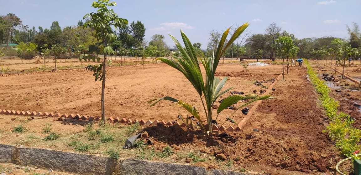  adithya dmr farms Plot