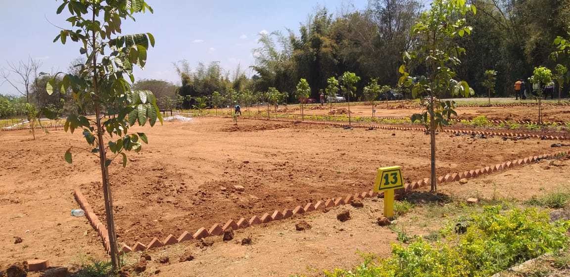  adithya dmr farms Plot