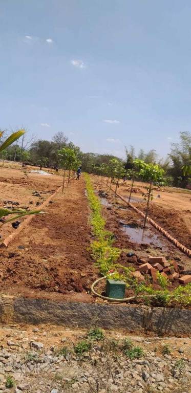  adithya dmr farms Plot