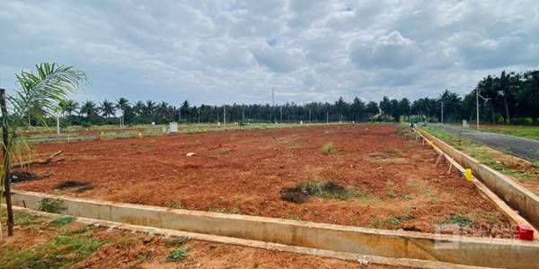  alliance-serene Plot