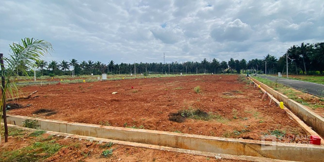  alliance serene Plot