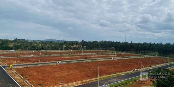  alliance-serene Plot