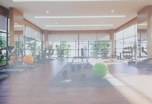  sky-diamond Gymnasium