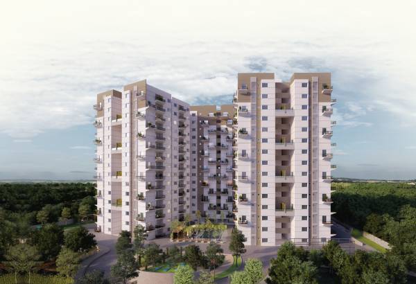  surya-humming-bird Elevation