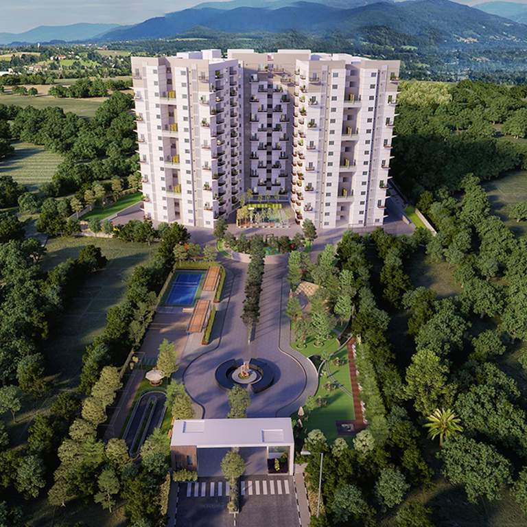  surya humming bird Elevation