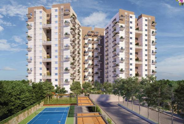  the-humming-bird Elevation