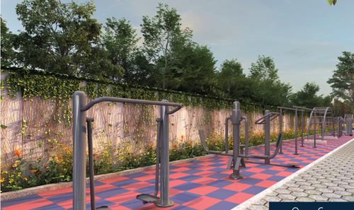  the-humming-bird Gymnasium