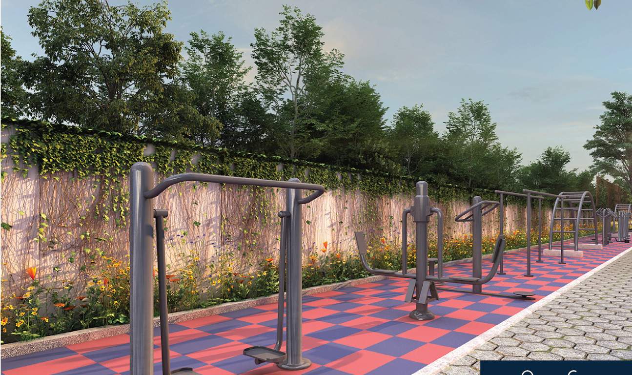  the humming bird Gymnasium