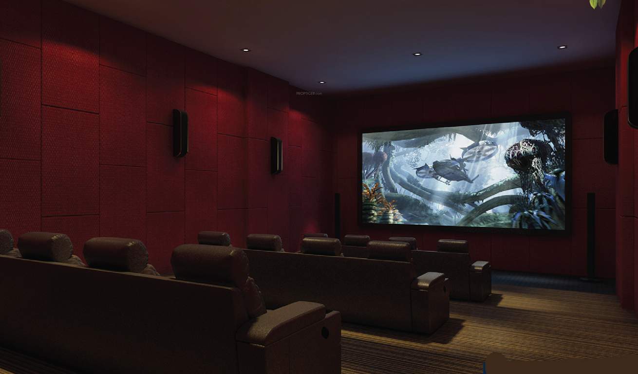  the humming bird Others