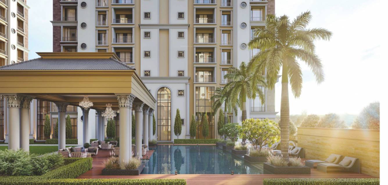 apple ambiance Others