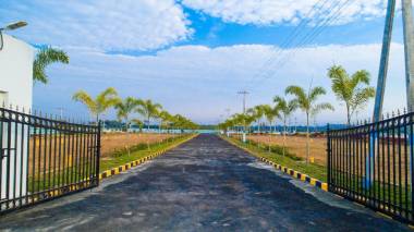 Elevation hill-view-meadow Elevation
