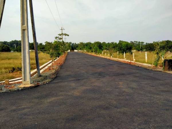  hill-view-meadow Plot