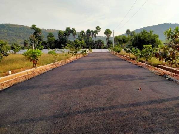  hill-view-meadow Plot