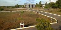New Golden Avenue
