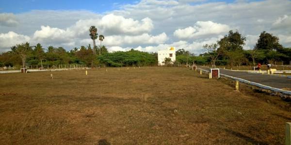  new-golden-avenue Plot