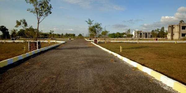  new-golden-avenue Plot