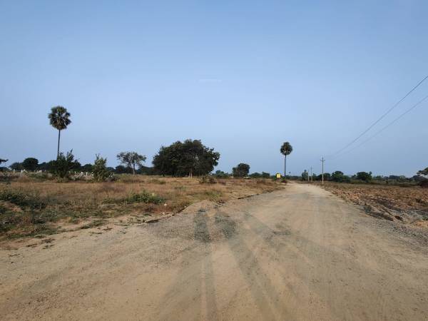 nature-couunty Internal Roads