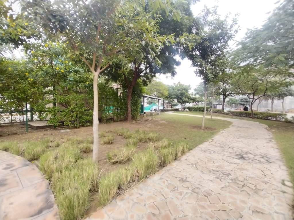  garden city independent floors Landscape Garden and Tree Planting