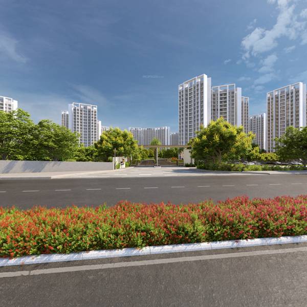  forest-world Elevation