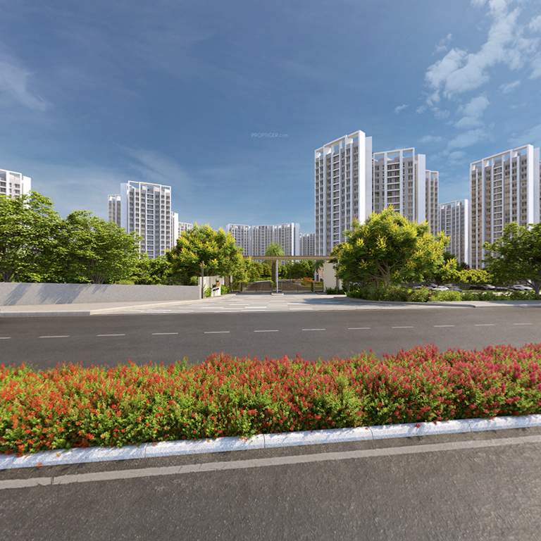  forest world Elevation