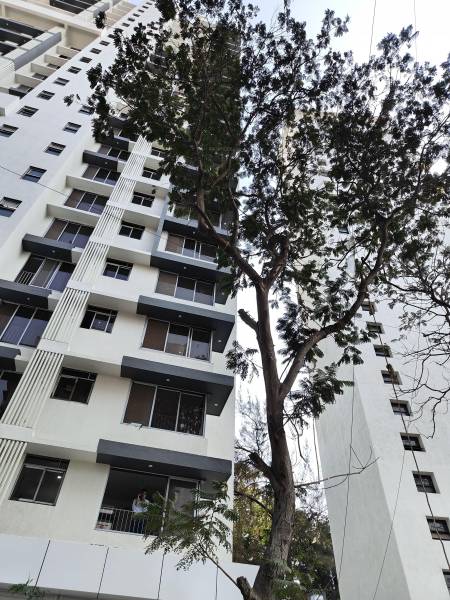  monte-verita-north-annexe Elevation