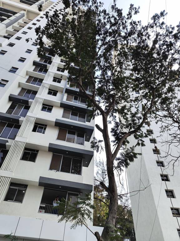  monte verita north annexe Elevation