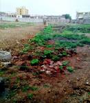  manas-darshan-3 Plot