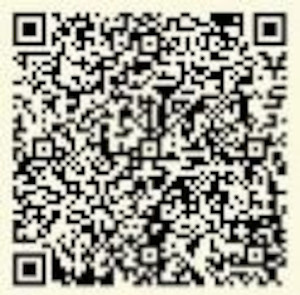 QR Image