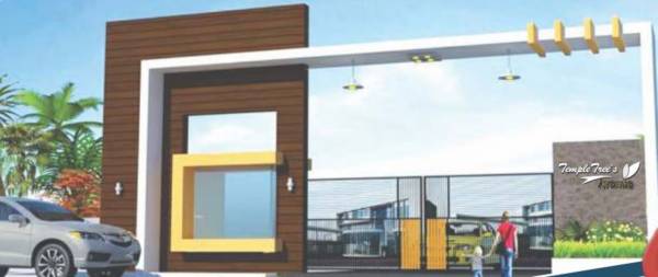  temple-trees-avenue Elevation