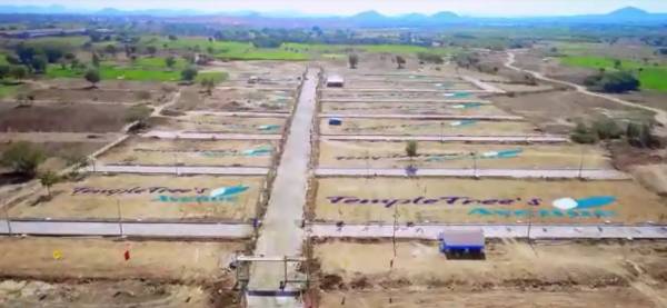  temple-trees-avenue Plot
