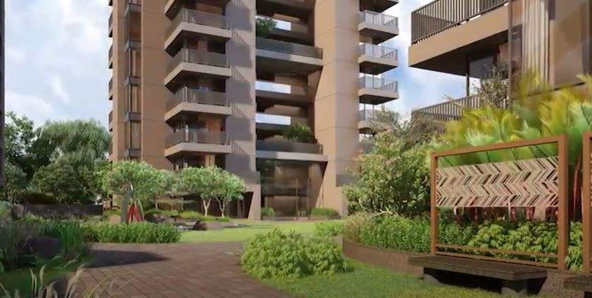  felicia 2 Landscape Garden and Tree Planting