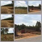 Elevation vatika-address Elevation