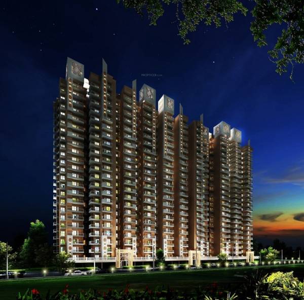 Elevation onyx-phase-ii Elevation