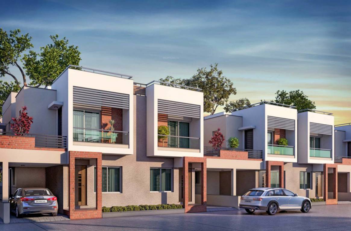  shashwat florence Elevation